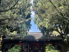 -江心屿景区