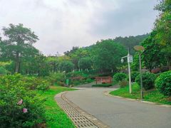 -火炉山森林公园