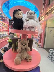-TeddyTales莉娜熊(国贸店)