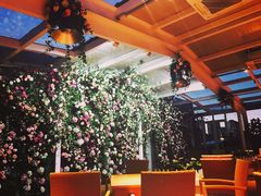 景观位-辛德勒啤酒德餐厅