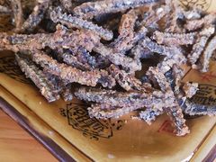 -乐山第一家临江鳝丝(茶坊路店)