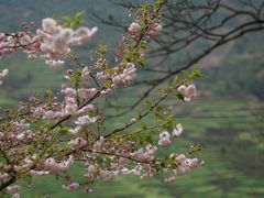 -婺源风景区