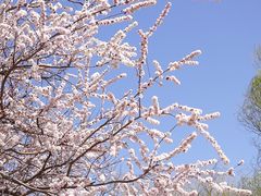 景点-元大都城垣遗址公园