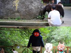 -宁波五龙潭景区