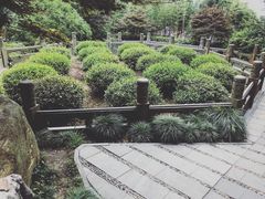 -十八棵（老龙井）御茶园(老龙井店)