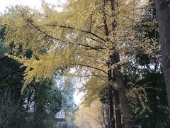 -四川大学(华西校区)