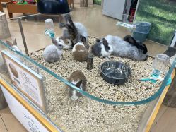 -小象动悟公园(龙湖亦庄天街店)