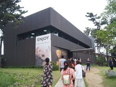 -济州岛泰迪熊博物馆