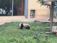 -西安秦岭野生动物园