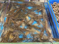 -加餐海鲜自助(宝龙一城店)