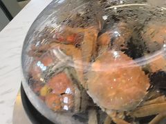 -半岛听涛蒸汽海鲜自助(K11店)
