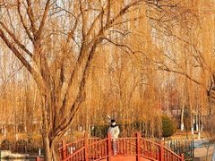 -燕郊植物园