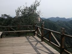 -大岭沟猕猴桃谷风景区