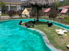 -福州罗源湾海洋世界旅游区