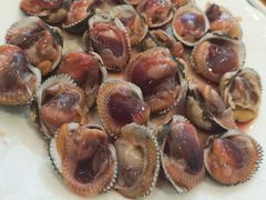 毛蚶-金海湾海鲜排档(朱家尖店)