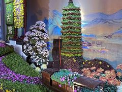 -杭州植物园