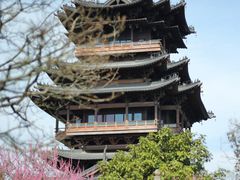 -杭州半山国家森林公园