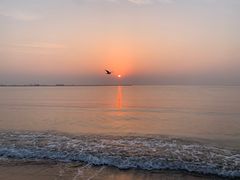 -金梦海湾浴场