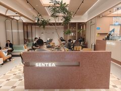 -森茶(湛江万达店)