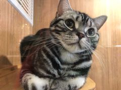 -藦茜花园宠物主题亲子互动体验馆(国顺东路店)