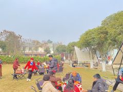 -洪湖家庭农场·团建·露营·会议