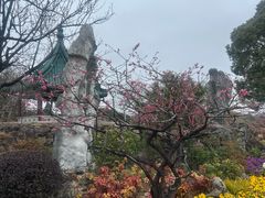 -无锡梅园公园