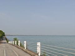 -贡湖湾湿地公园