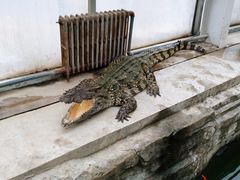 -石家庄市动物园