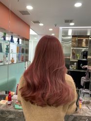 -IP SALON