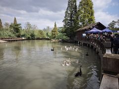 -溱湖国家湿地公园