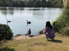 -南通濠河风景名胜区