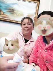 点击看大图 -星摇篮月子中心(市妇幼店)