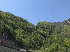 -牛背梁国家森林公园