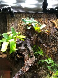 -酷嗒动物文化乐园(cutezoo西溪乐天城店)