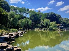 -红梅公园