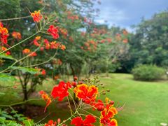 -中国科学院西双版纳热带植物园