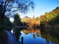 -仙居谷风景区