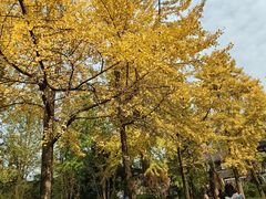 -成都武侯祠博物馆