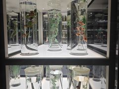 -北京中医药大学-中医药博物馆