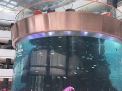 -OPEN開全日自助餐厅·牛肉火锅·海鲜(佛山希尔顿酒店)