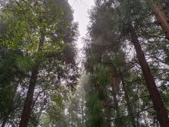 -贵州省植物园