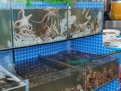 水产区-蟹谢蒸鲜自助餐厅