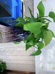 -尚艺造型.剪烫染.接发