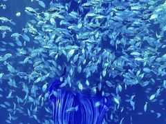 -沈阳海洋探索中心