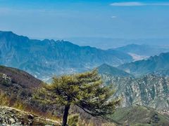 -灵山
