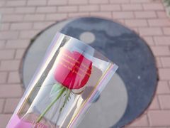 -特克斯八卦城