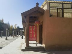 -金塔沙漠胡杨林景区