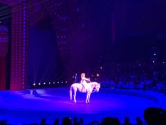 -珠海横琴长隆《卡卡虎奇遇记》