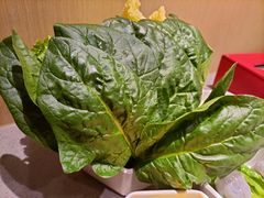 -海底捞火锅(百利广场店)
