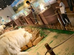 -陕西自然博物馆